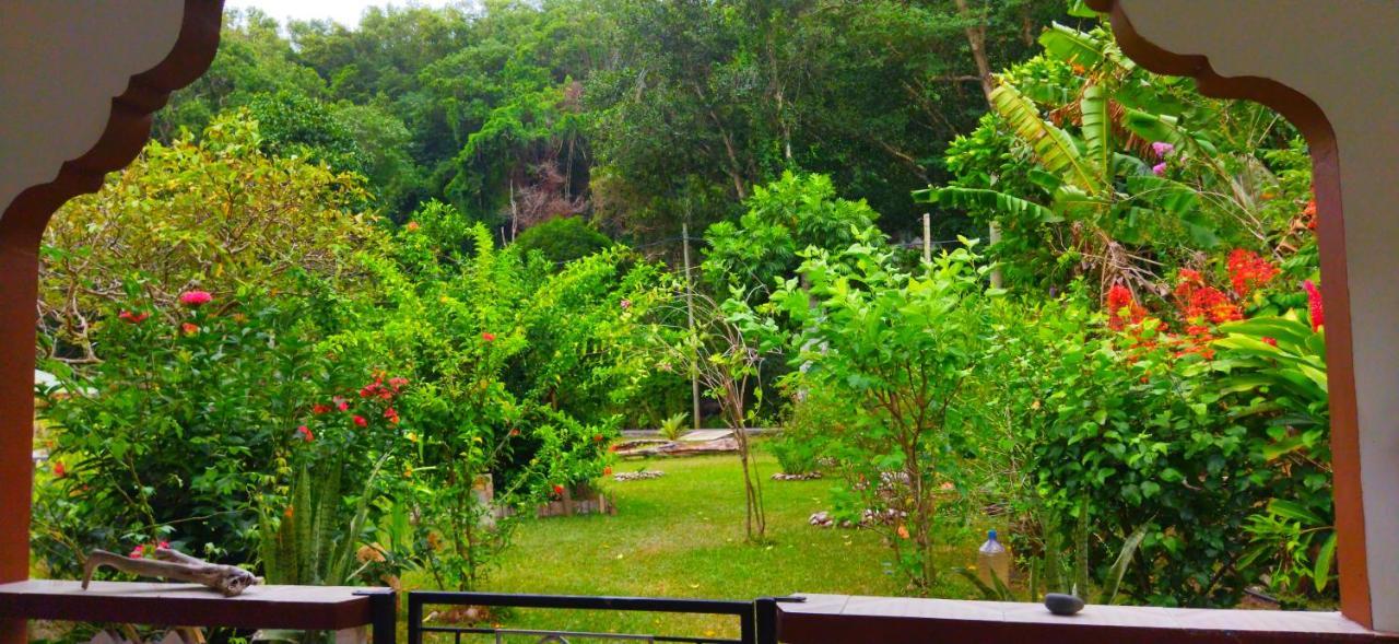Dan Zoranz Self Catering Guest House 拉迪格岛 外观 照片