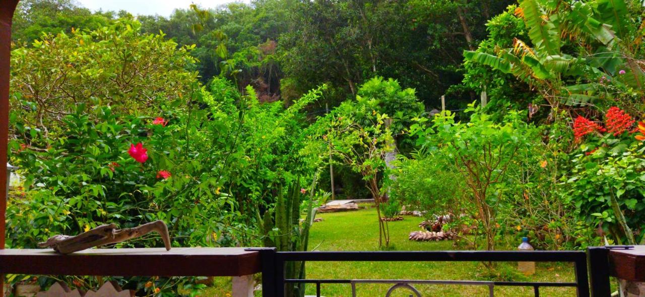 Dan Zoranz Self Catering Guest House 拉迪格岛 外观 照片