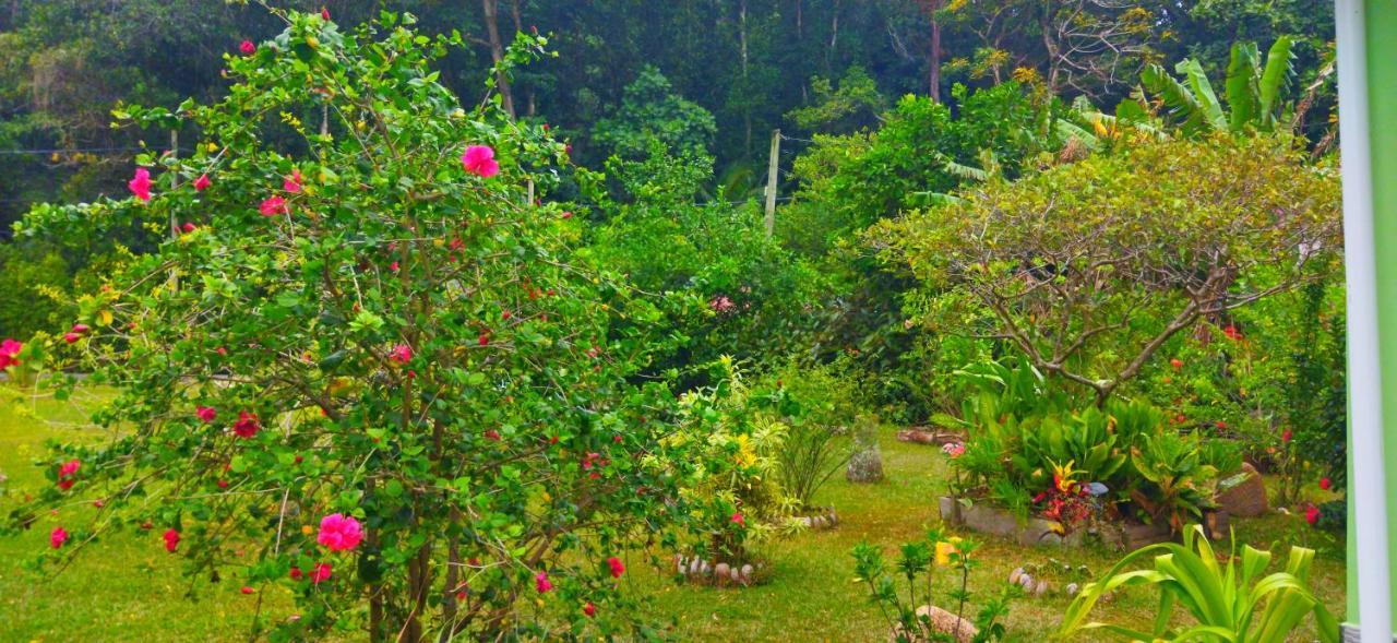 Dan Zoranz Self Catering Guest House 拉迪格岛 外观 照片