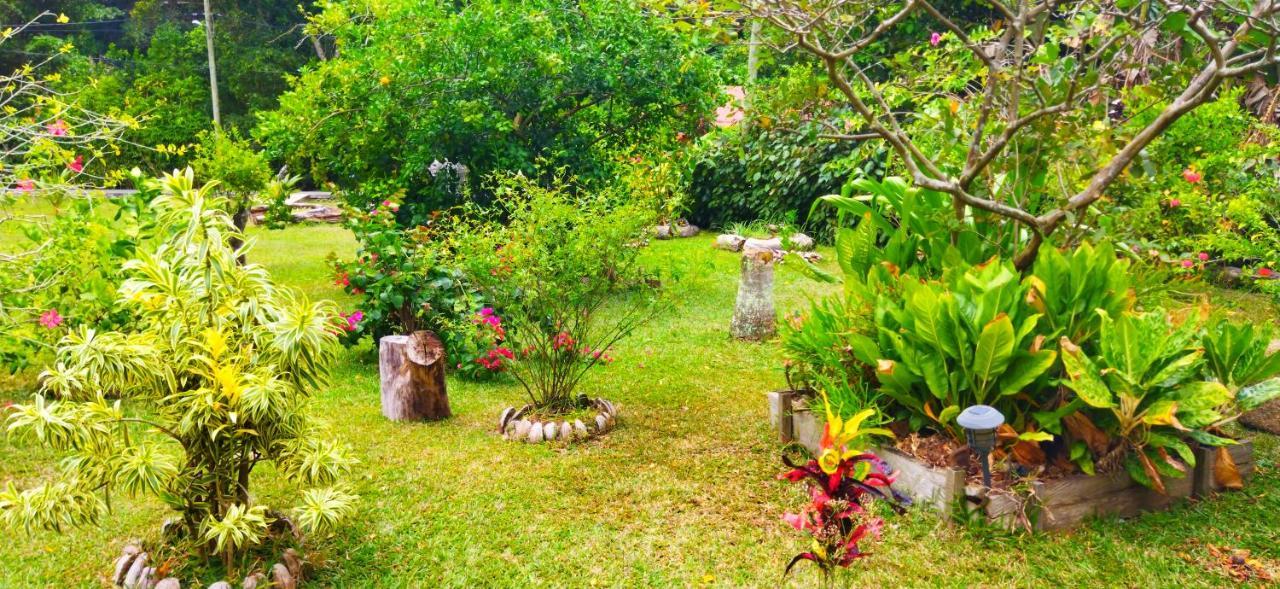 Dan Zoranz Self Catering Guest House 拉迪格岛 外观 照片