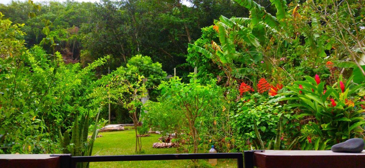 Dan Zoranz Self Catering Guest House 拉迪格岛 外观 照片