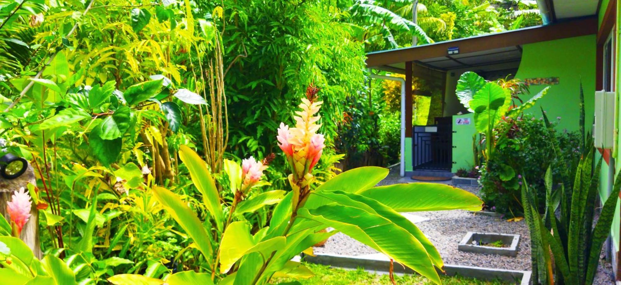 Dan Zoranz Self Catering Guest House 拉迪格岛 外观 照片