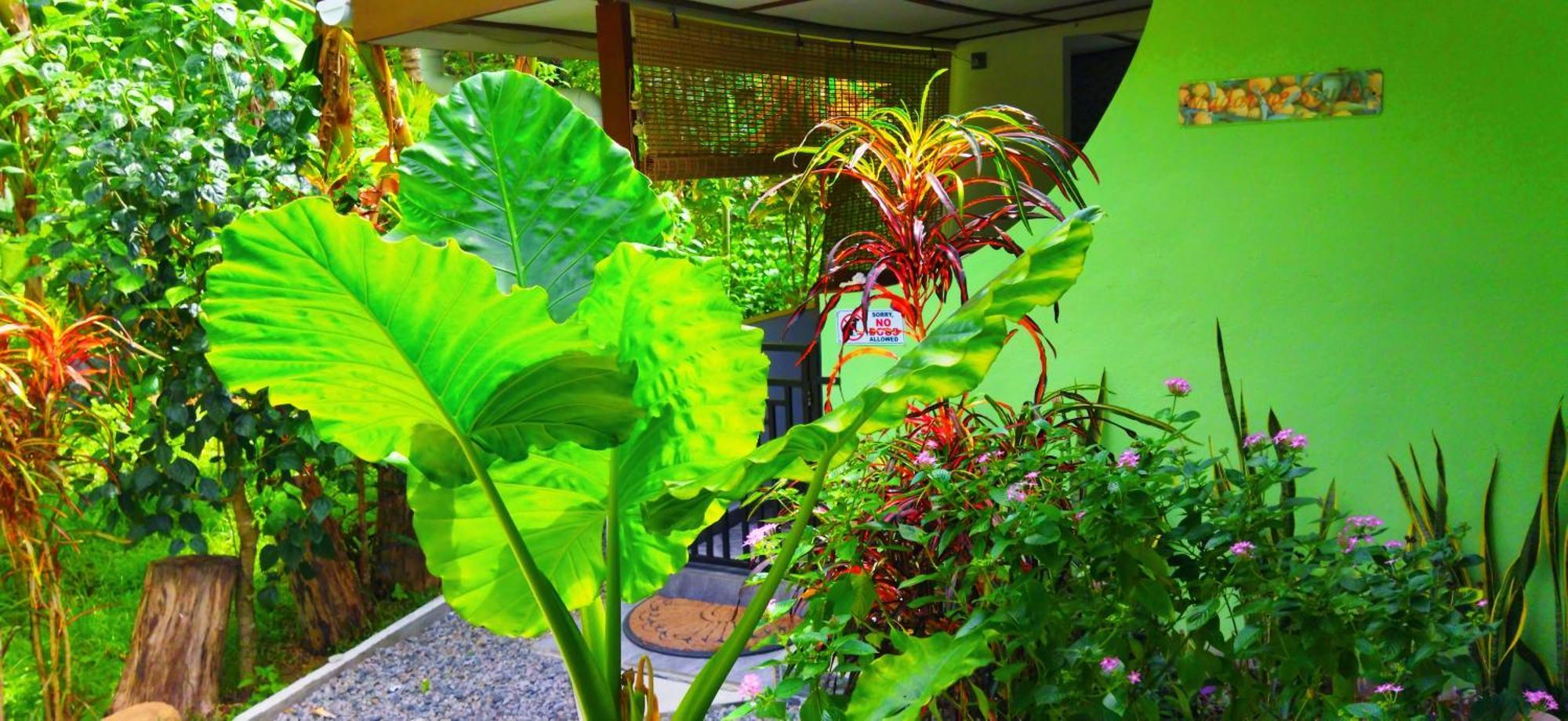 Dan Zoranz Self Catering Guest House 拉迪格岛 外观 照片