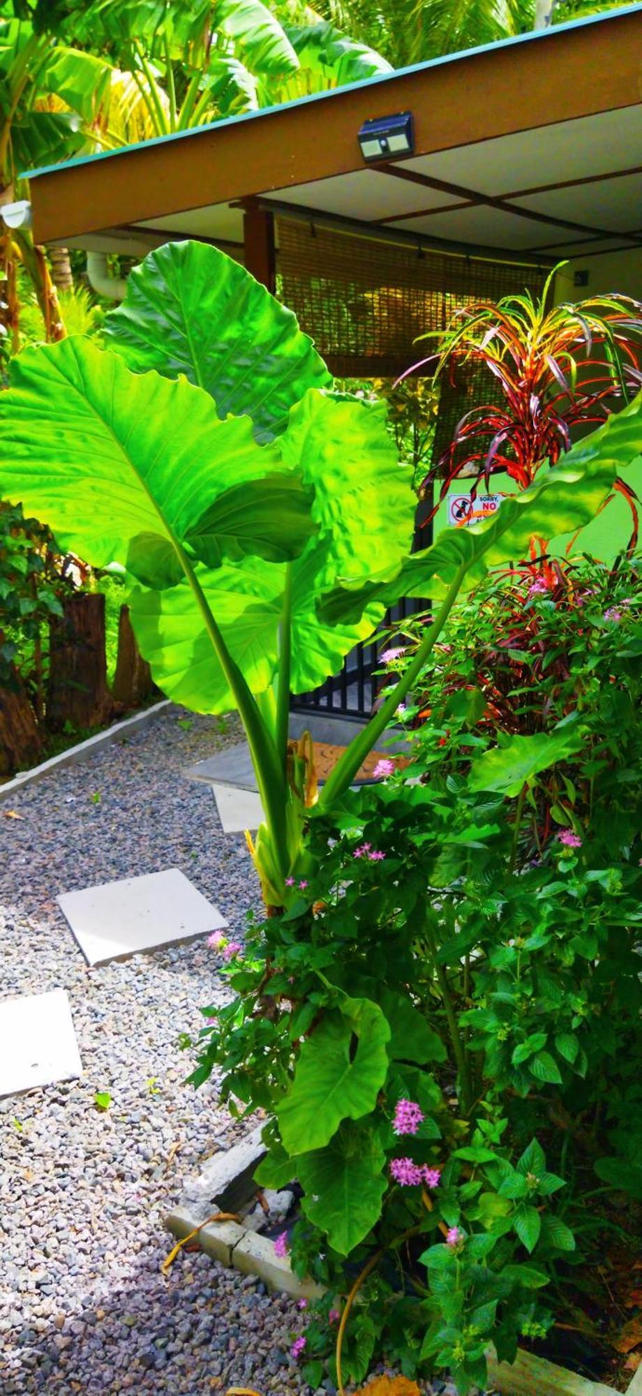 Dan Zoranz Self Catering Guest House 拉迪格岛 外观 照片
